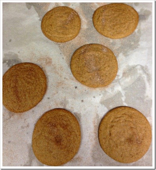 electrolux-assistent-made-cookies-snicker-doodles